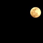夜空に浮かぶ満月の写真